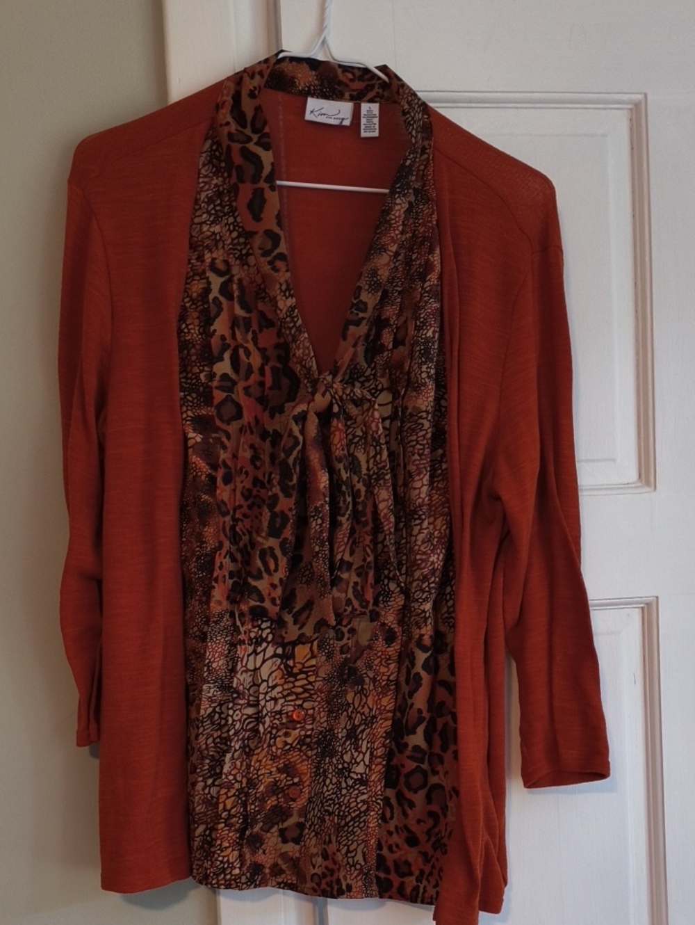 Kim Rogers Long Sleeve Layered Animal-Print Top in Rust and Brown